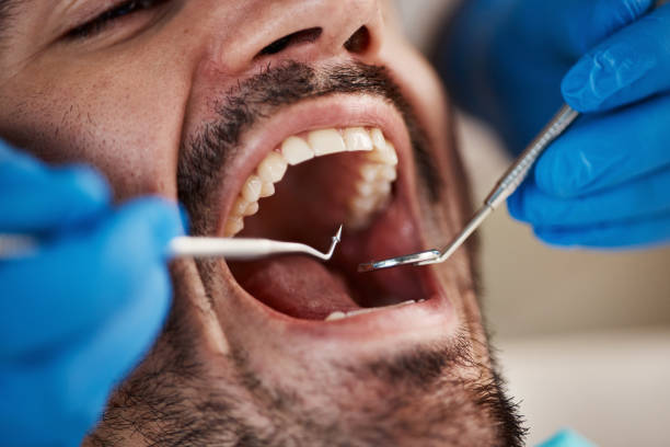 Best Cosmetic Emergency Dentistry in Wolfforth, TX