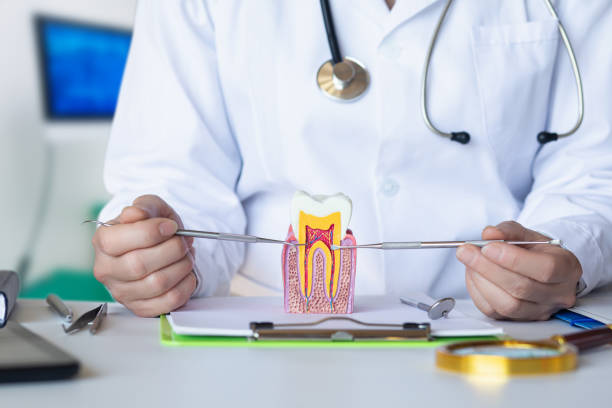 Best Emergency Dental Care for Broken or Chipped Teeth in Wolfforth, TX